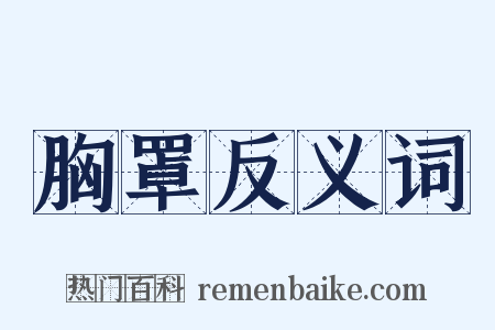 胸罩反义词是什么意思的图片